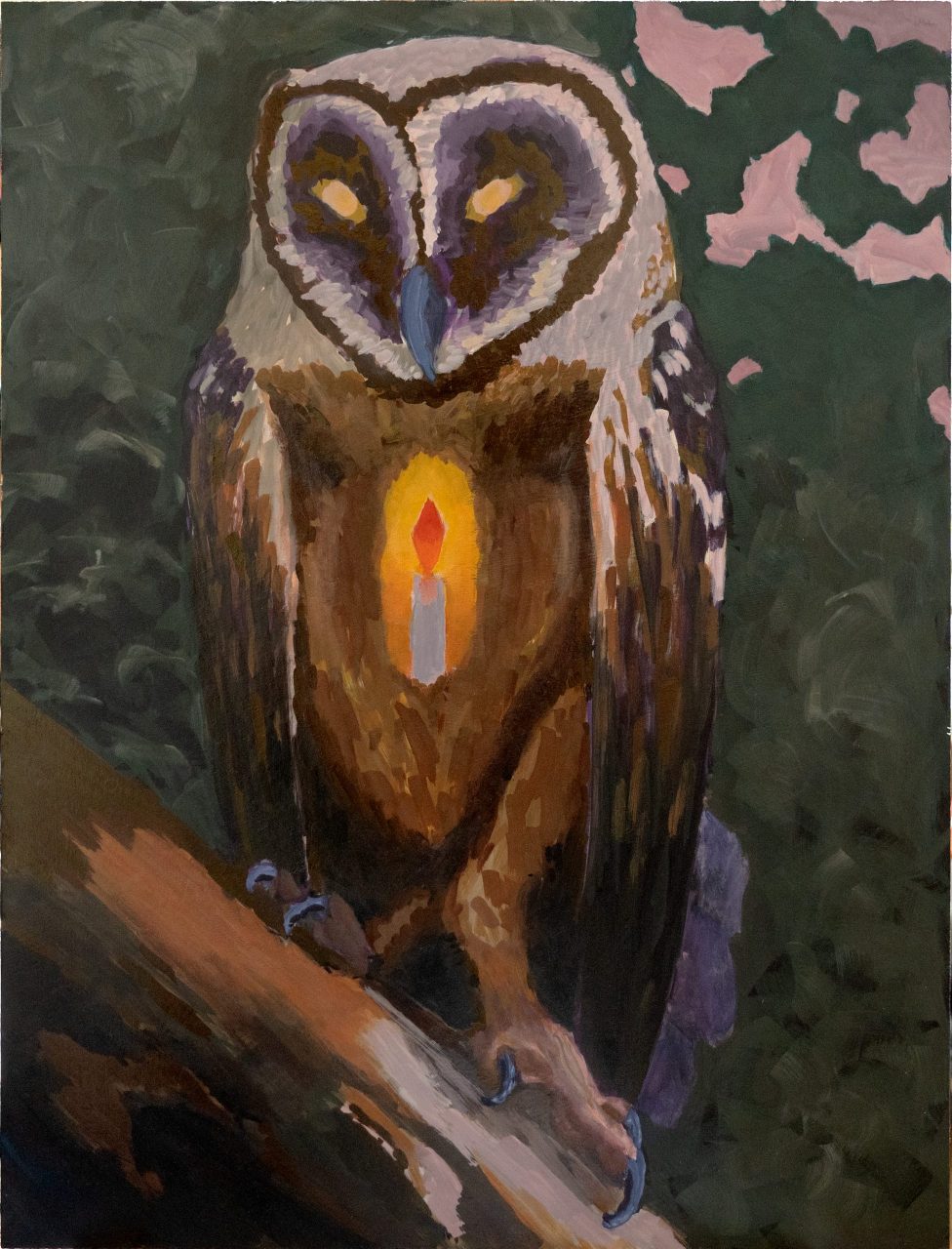 The Lantern Owl